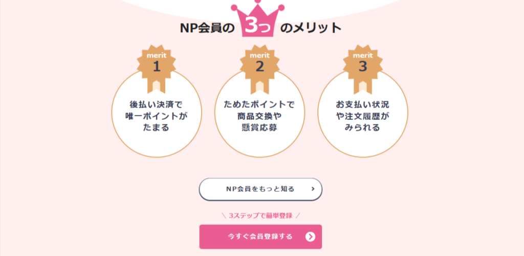 NP後払いのHPのキャプチャ画面
