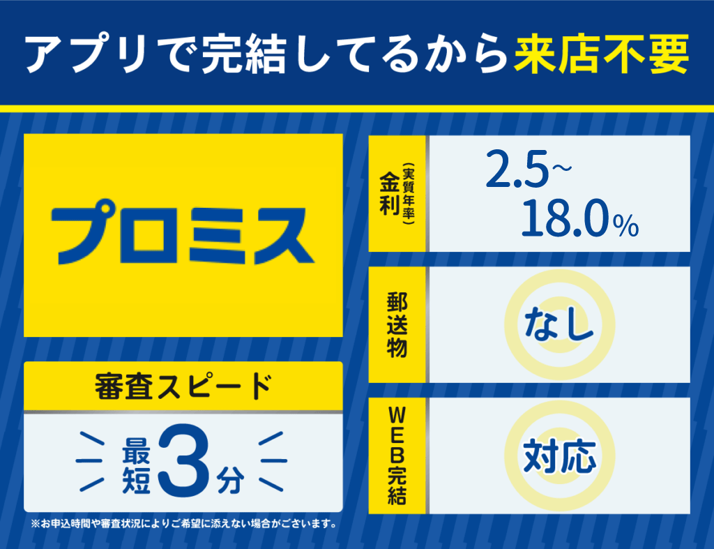 プロミスの基本情報をまとめた画像